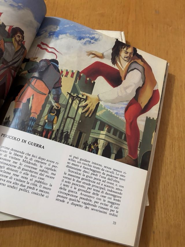 Lotto di 17 libri di avventura per ragazzi