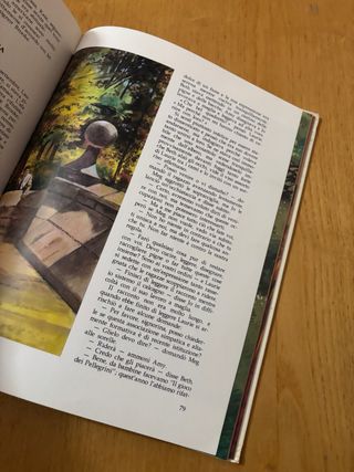 Lotto di 17 libri di avventura per ragazzi