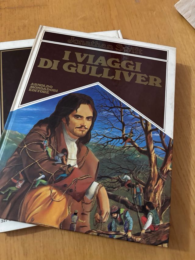 Lotto di 17 libri di avventura per ragazzi