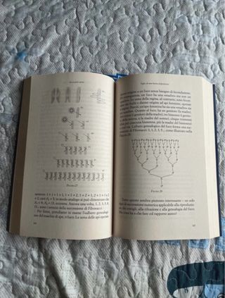 La sezione aurea. Storia di un numero e di un m...