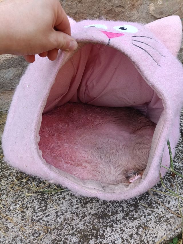 Casa / cama rosa para gato