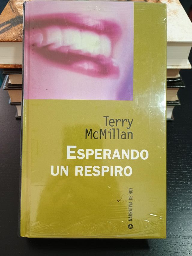 Esperando un respiro - Terry McMillan