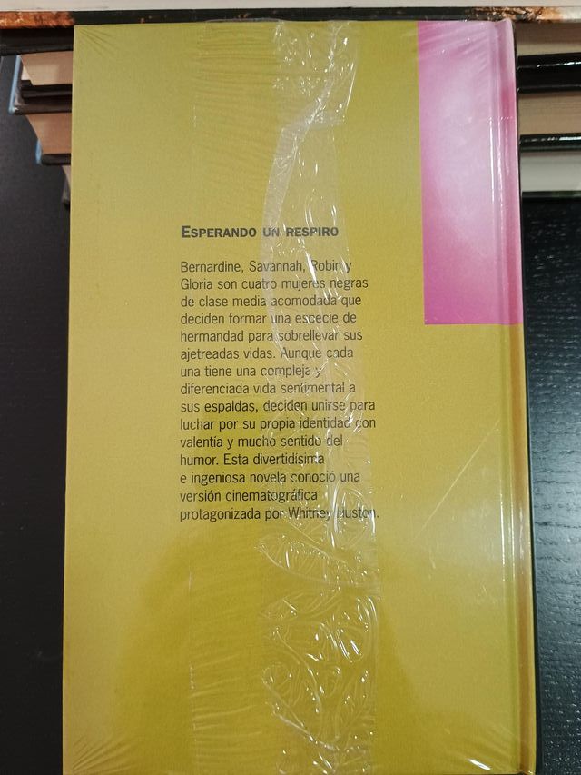 Esperando un respiro - Terry McMillan