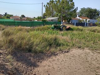 Servicios jardinería Tello