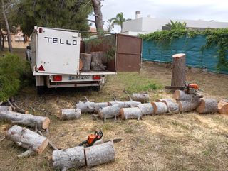 Servicios jardinería Tello