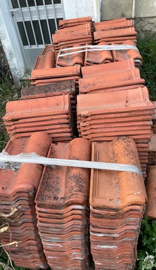 Teja mixta Borja - 700 ud. aprox.
