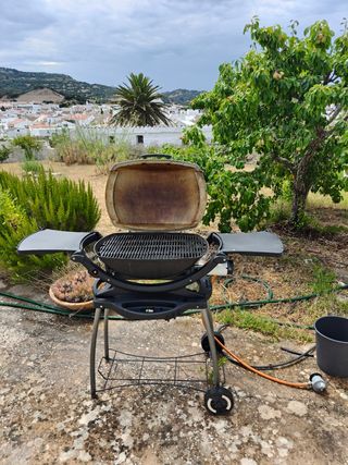 Barbacoa gas Weber Q2000- Negra y Gris