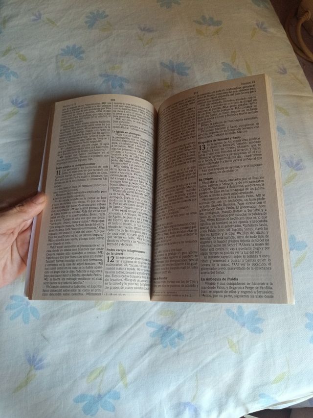 Nuevo Testamento NVI. Español. 238 paginas