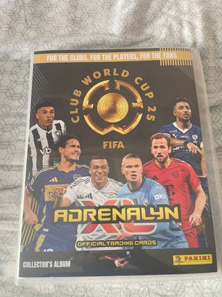 Álbum Panini Adrenalyn Club Mundial(falta 1 card)