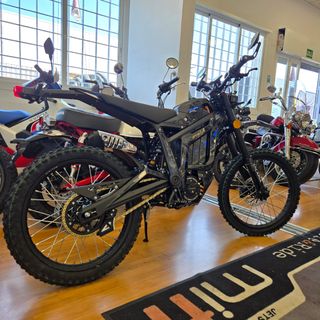 TALARIA Sting MX5 PRO - Moto Eléctrica