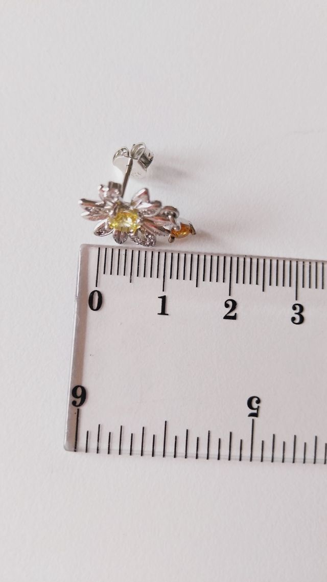 Orecchini placcato argento 