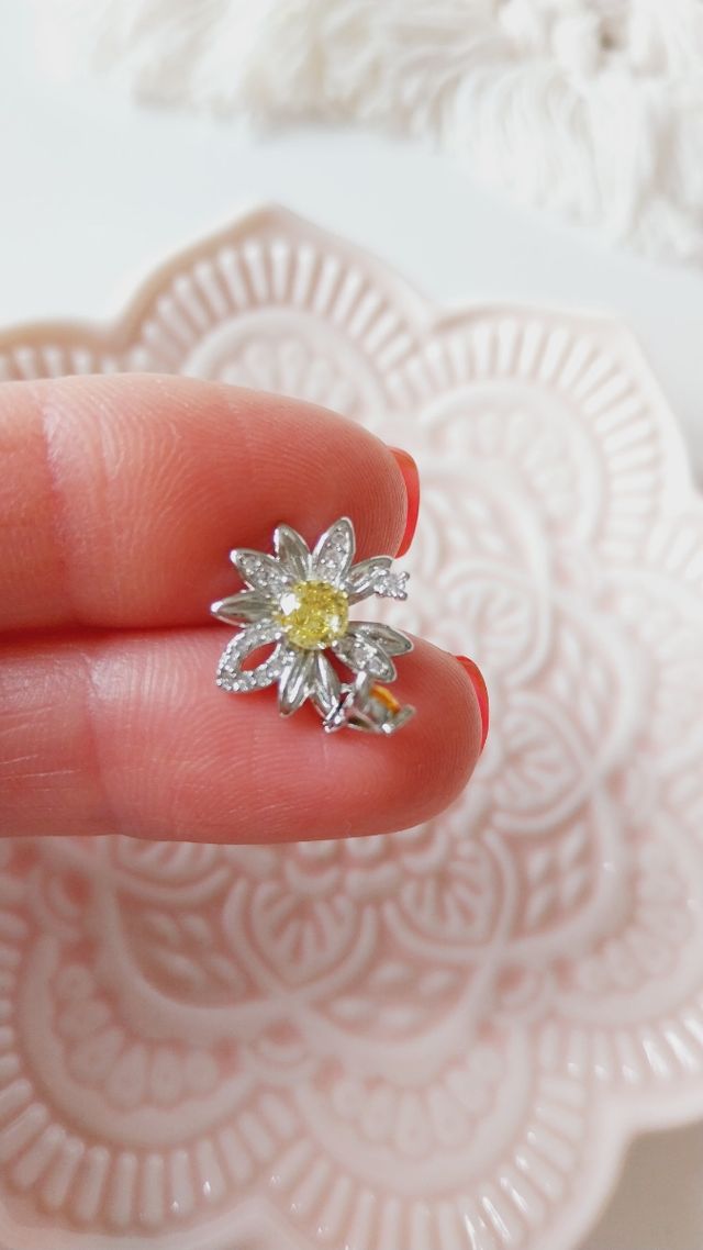 Orecchini placcato argento 