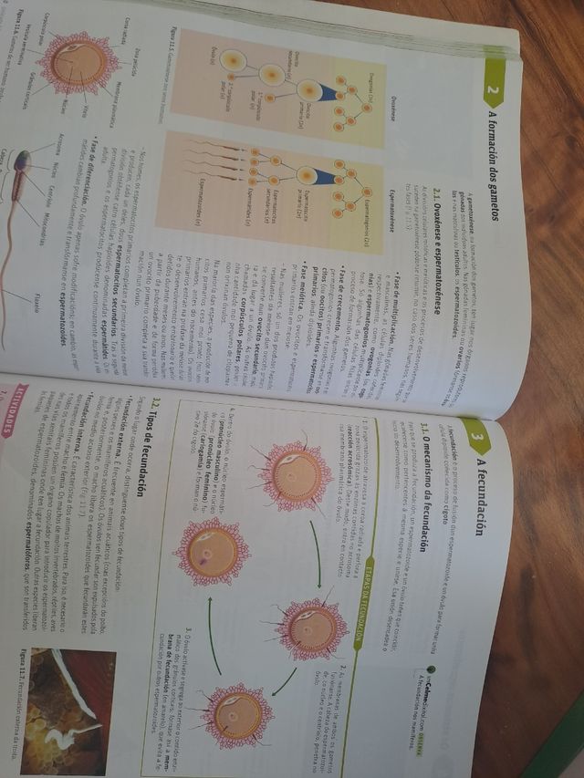 Bioloxía e xeoloxía. 1 Bacharelato. Celme