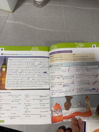 Wonder Primary Education 5 primaria