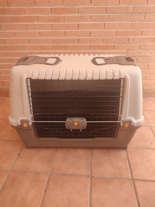 Transporting perros talla mediano
