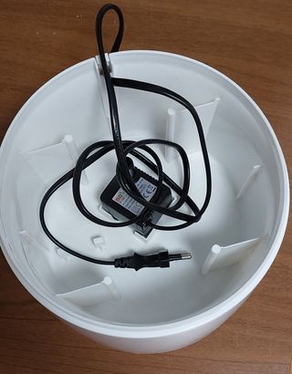 Fontanella acqua gatto - Lovedi