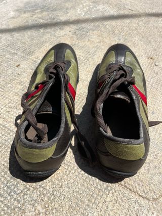 Zapatillas Springfield Marrón-Verde