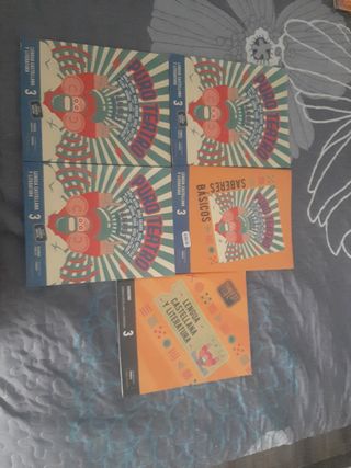 Lengua y literatura de 3 de primaria Edelvives 