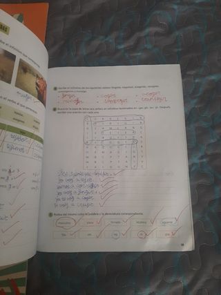 Lengua y literatura de 3 de primaria Edelvives 