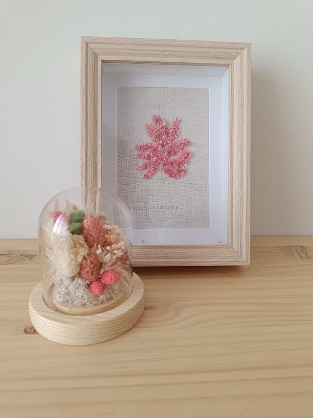 Cúpula flores secas + cuadro
