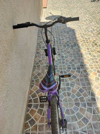 Bicicleta montaña niña 20" B-Pro