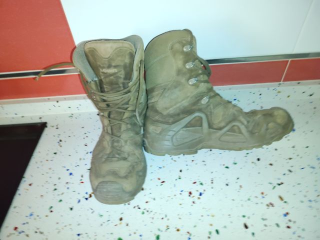 Botas Lowa Renegade GTX marrón 43,5