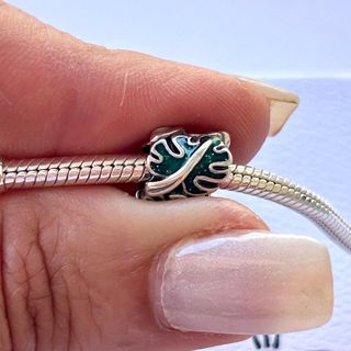 Charm Monstera Verde