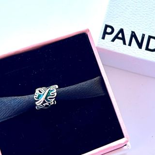 Charm Monstera Verde