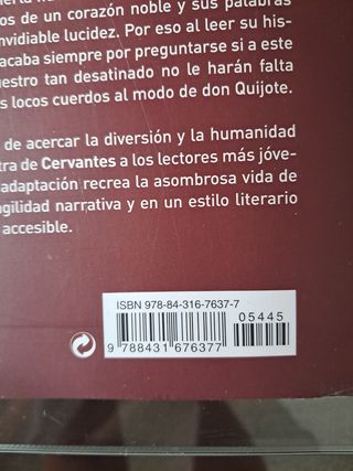 Don Quijote - Cucaña (Cucana) (Spanish Edition)