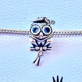Charm Búho Graduación Plata
