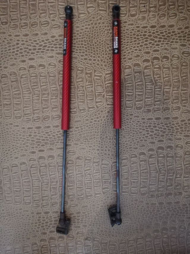 2 Amortiguadores Capó Coche