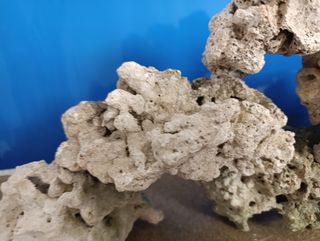 ROCAS  para ACUARIO marino o cíclidos.