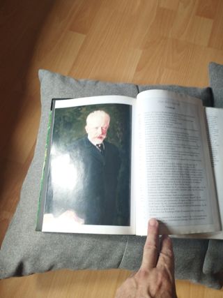 CD+libro  Tchaikovsky & Verdi Clásicos.