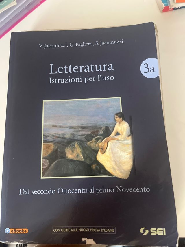 Libro Letteratura 3a - Scuola Secondaria