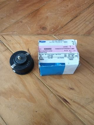 Termostato Ford - 6089065