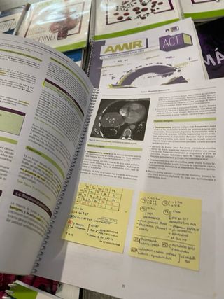 Manuales AMIR medicina, subrayados.