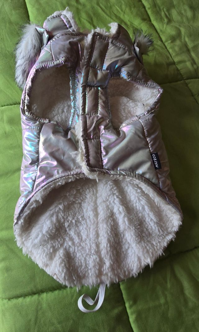 Cazadoras para perro pequeño