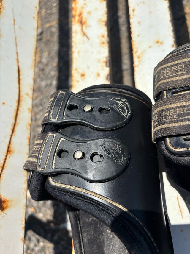 Protectores traseros Veredus L - Equitación