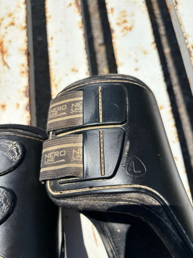 Protectores traseros Veredus L - Equitación