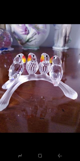 4 Pappagalli Swarovski cristallo