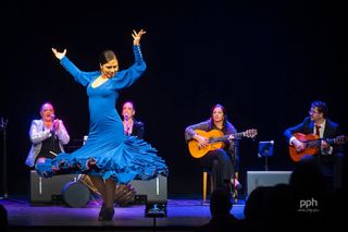 Traje Flamenca Azul