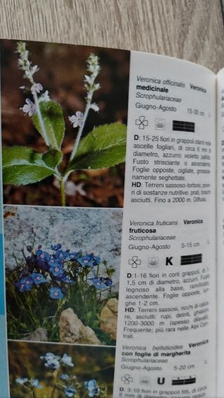 Fiori delle Alpi