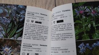 Fiori delle Alpi