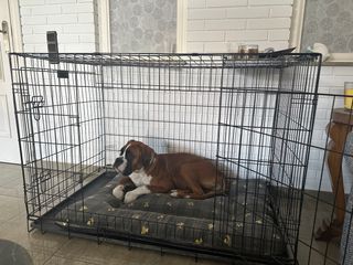 Jaula perro - Negra, seminueva