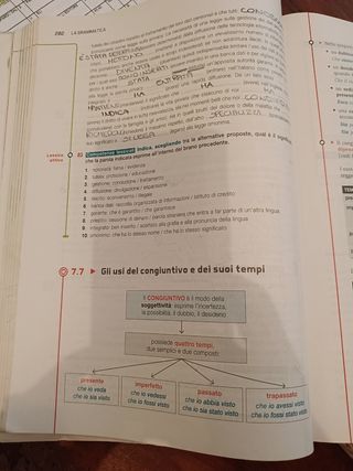 La pratica e le valenze dell'italiano