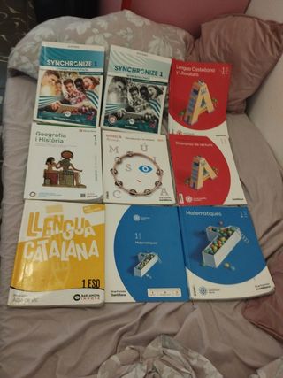 GEOGRAFIA I HISTORIA 1 (COMUNITAT EN XARXA)