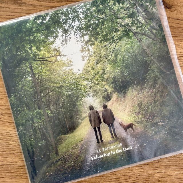 Vinilo El Brindador - A clearing in the land