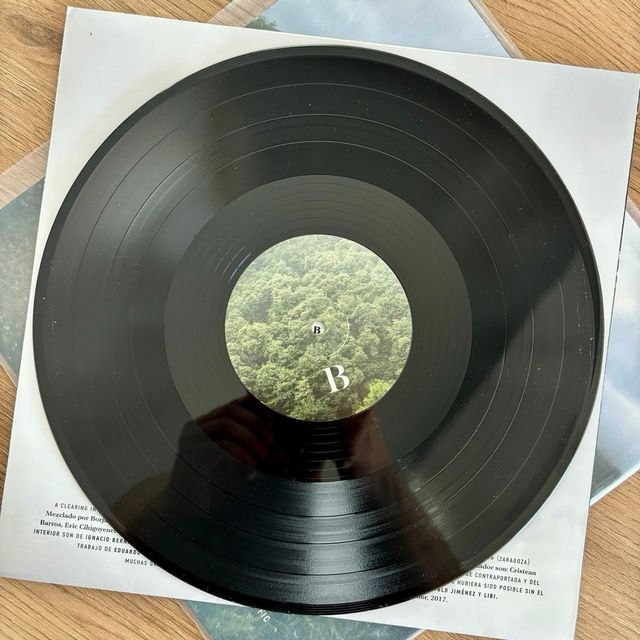 Vinilo El Brindador - A clearing in the land