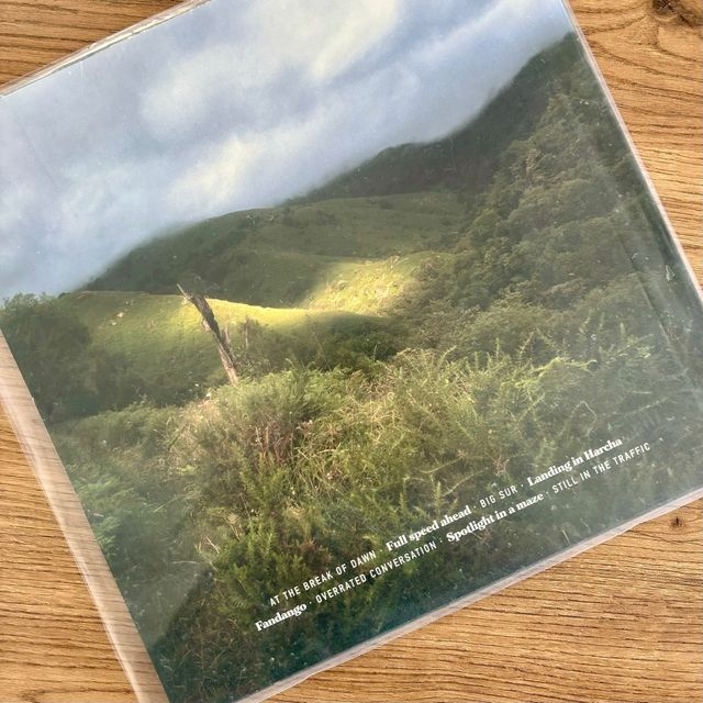 Vinilo El Brindador - A clearing in the land