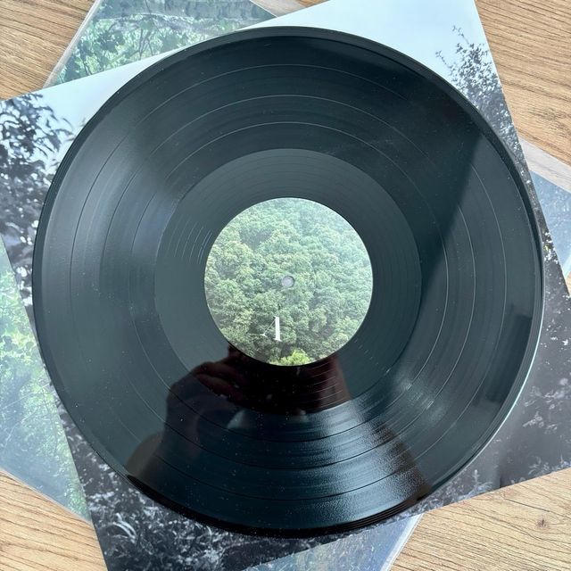 Vinilo El Brindador - A clearing in the land